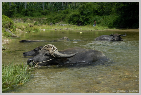 Mindoro_032.jpg