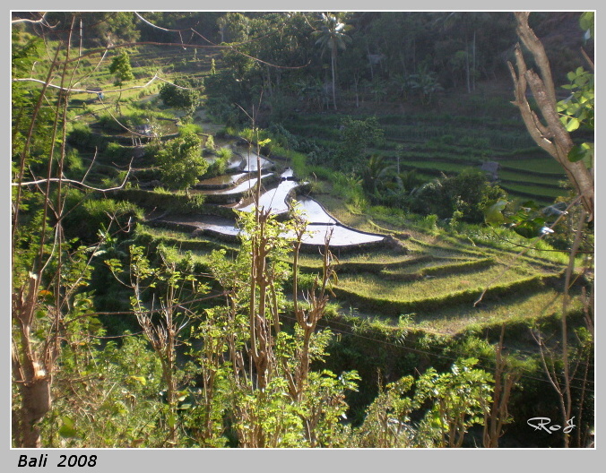 bali_003.jpg