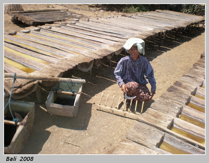 bali_009.jpg