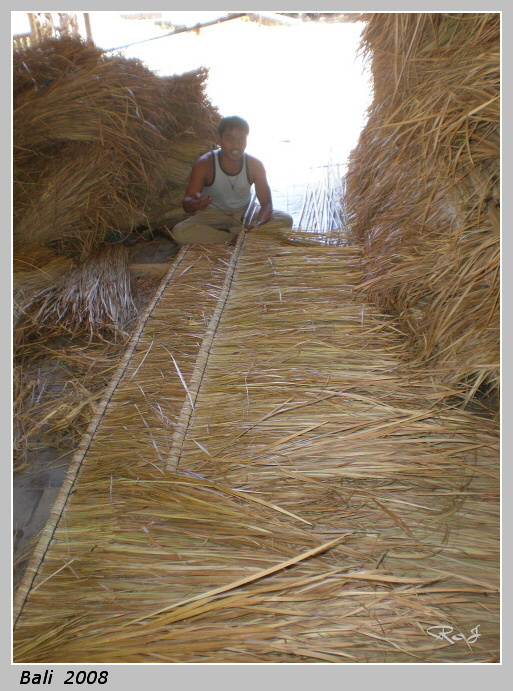 bali_010.jpg
