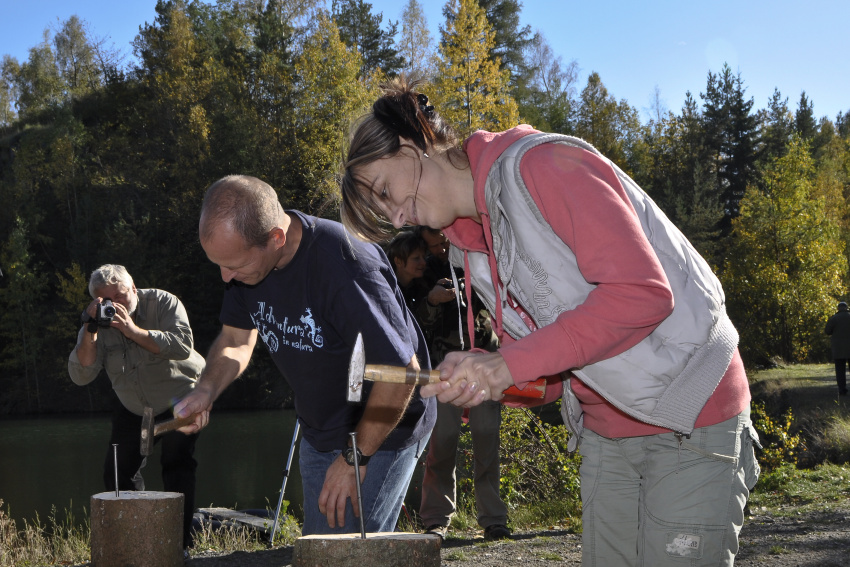_DSC0100.JPG